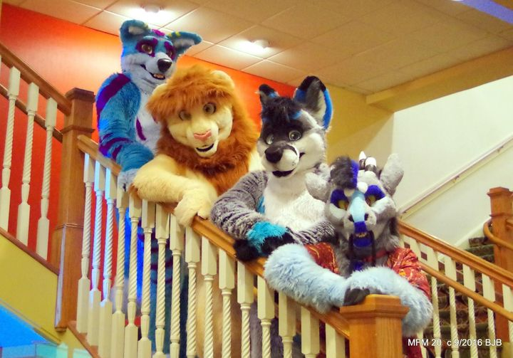 THE_BJBUTTONS's tweet photo. #OctoBEAR 14 #fursuitfriday 4 #fursuiters poise for a picture on the grand staircase at #Mephit Fur Meet 2016 @Mephitfurmeet #Mephitfurmeet #mephit #mfm #Mephit2016 #fursuit #fursuiter #fursuiting https://t.co/IaVYQwFw3H