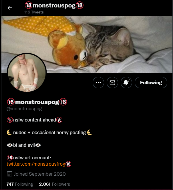 VNNZ16's tweet photo. Surprisingly their e-boy account ( @monstrouspog ) isn't fucked.
Why the fuck didn't our government be detailed with the blocking? Why keep the alt account still safe?
#HumanRights
#BlokirKominfo
#GugatKominfo
#TuntutKominfo
#SaveDigitalFreedom https://t.co/aCcn5JwHW8