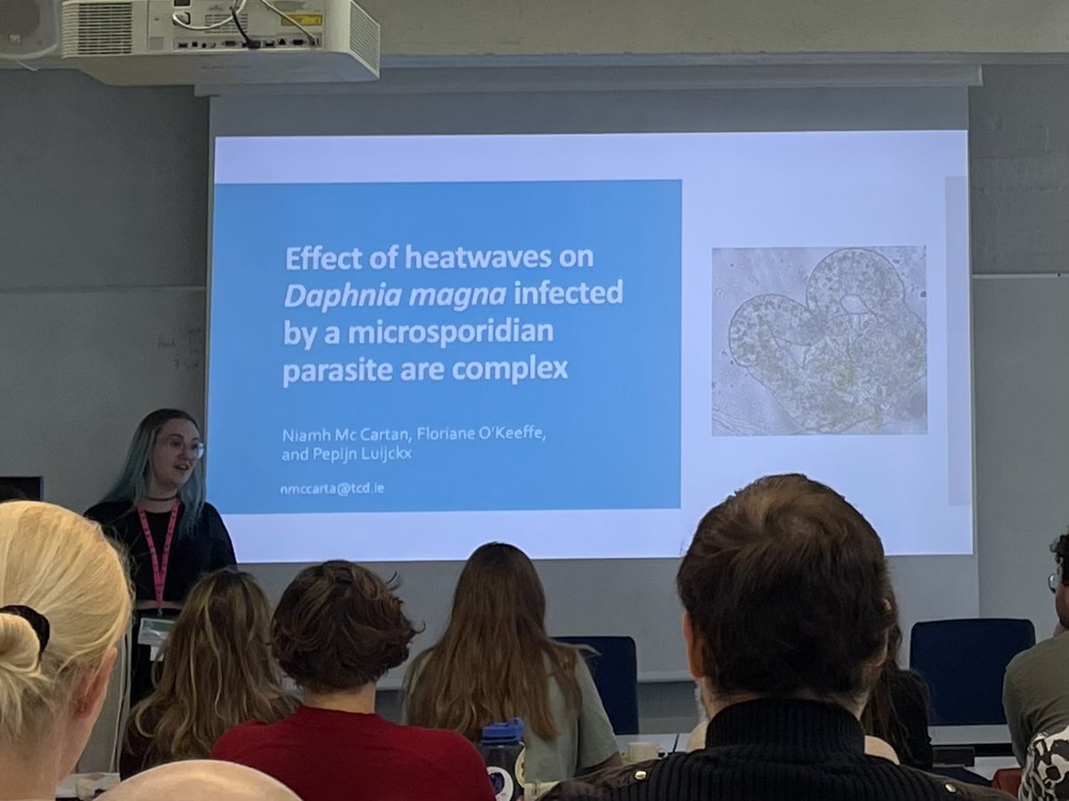 SickWaterFlea@TCD tweet media