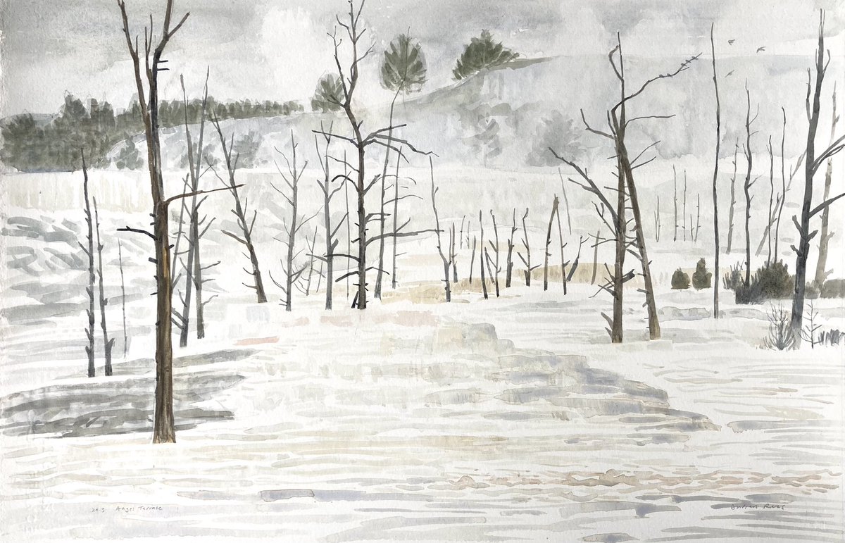 Field painting from Yellowstone, one of my entries for <a href="/swlanaturaleye/">SWLA</a> show <a href="/mallgalleries/">mallgalleries</a> Lots of fab art from a diverse collection of artists. Show runs to Oct 22