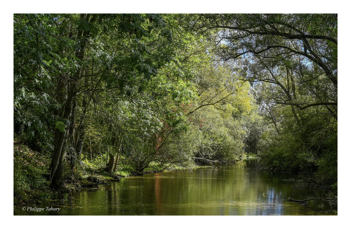 MaCotedOr's tweet photo. Calme et fraîcheur, la rivière Norges à Norges-la-Ville
#CôtedOr #Bourgogne #BFC #MagnifiqueBourgogne #BaladeSympa #MagnifiqueFrance #NorgesLaVille #landscapephotography #Nature #paysage #photography #FranceMagique #Photographie #photo #nikonz6 #wildlifephotography #Nikon https://t.co/pJn9onB0M3