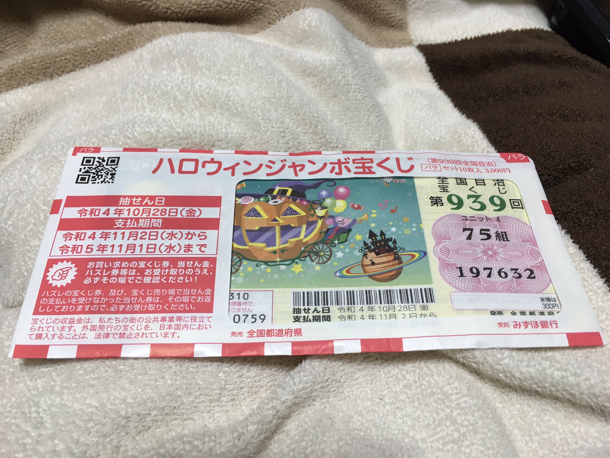 ハロウィンジャンボ一等当選樹ご報告あり特大幹つきサイズユッカエレファンティペス Www Estrategov Genusgroupsas Com