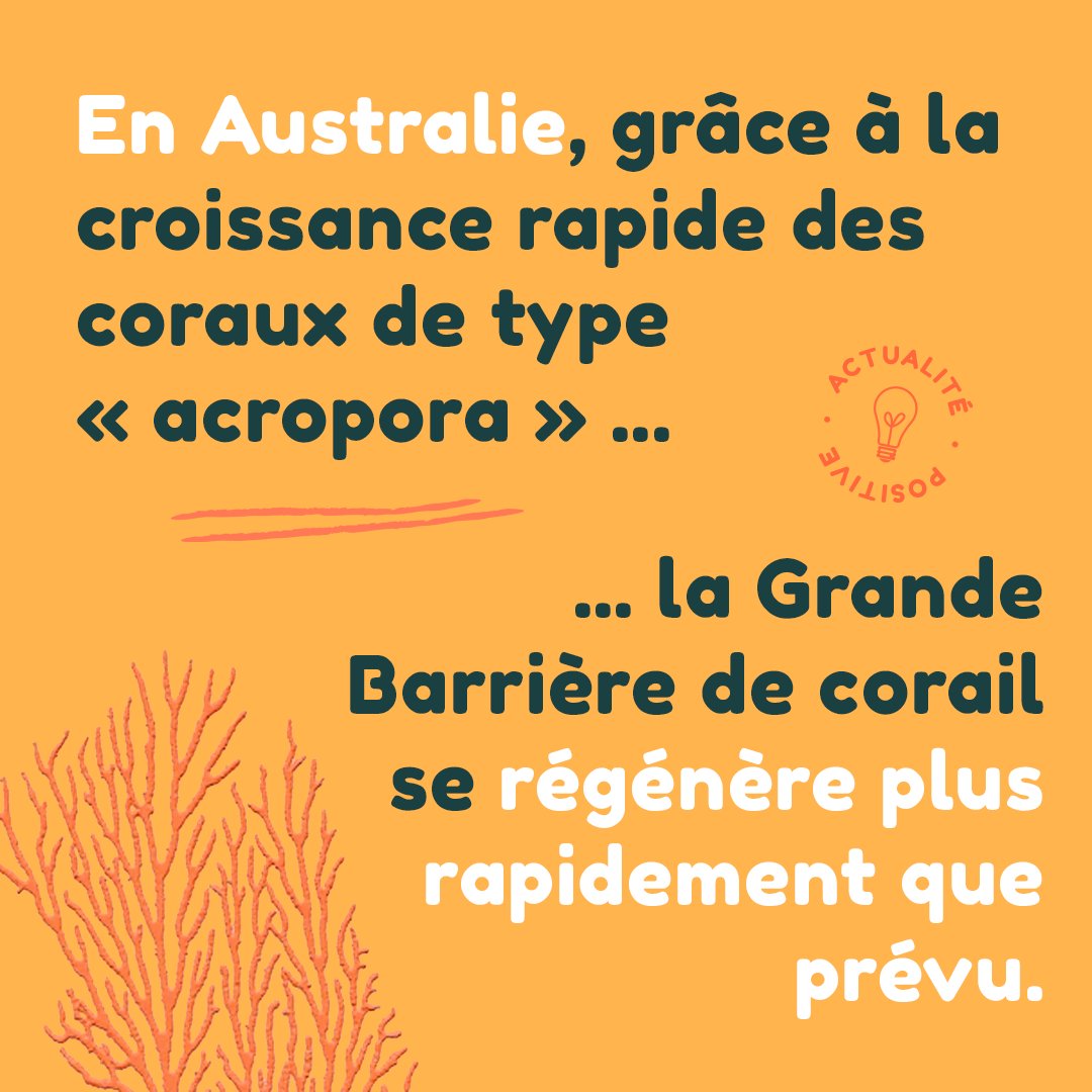 Programme Noé tweet media