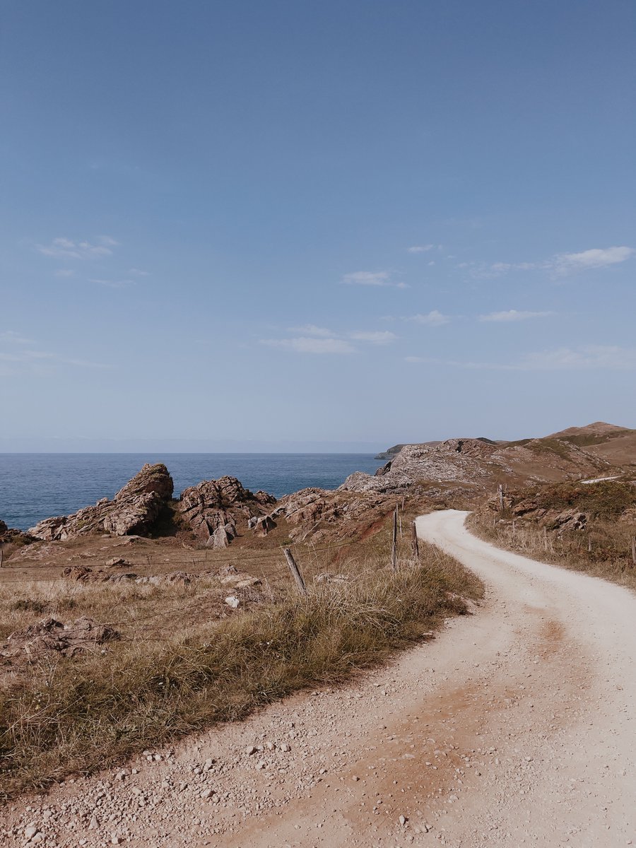 @linuskuner.bsky.social tweet media