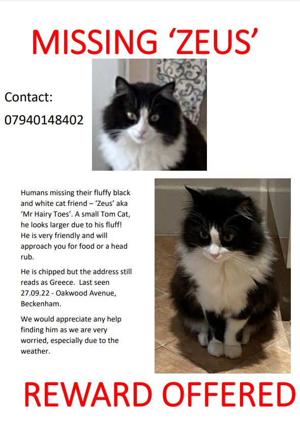 bromleycats's tweet image. 🚨Missing cat🚨
Can you spread the word #br3 and help get Zeus home safe and sound?
Last seen on the 27th of September in #beckenham  @BeckTogether @BeckenhamPlace1