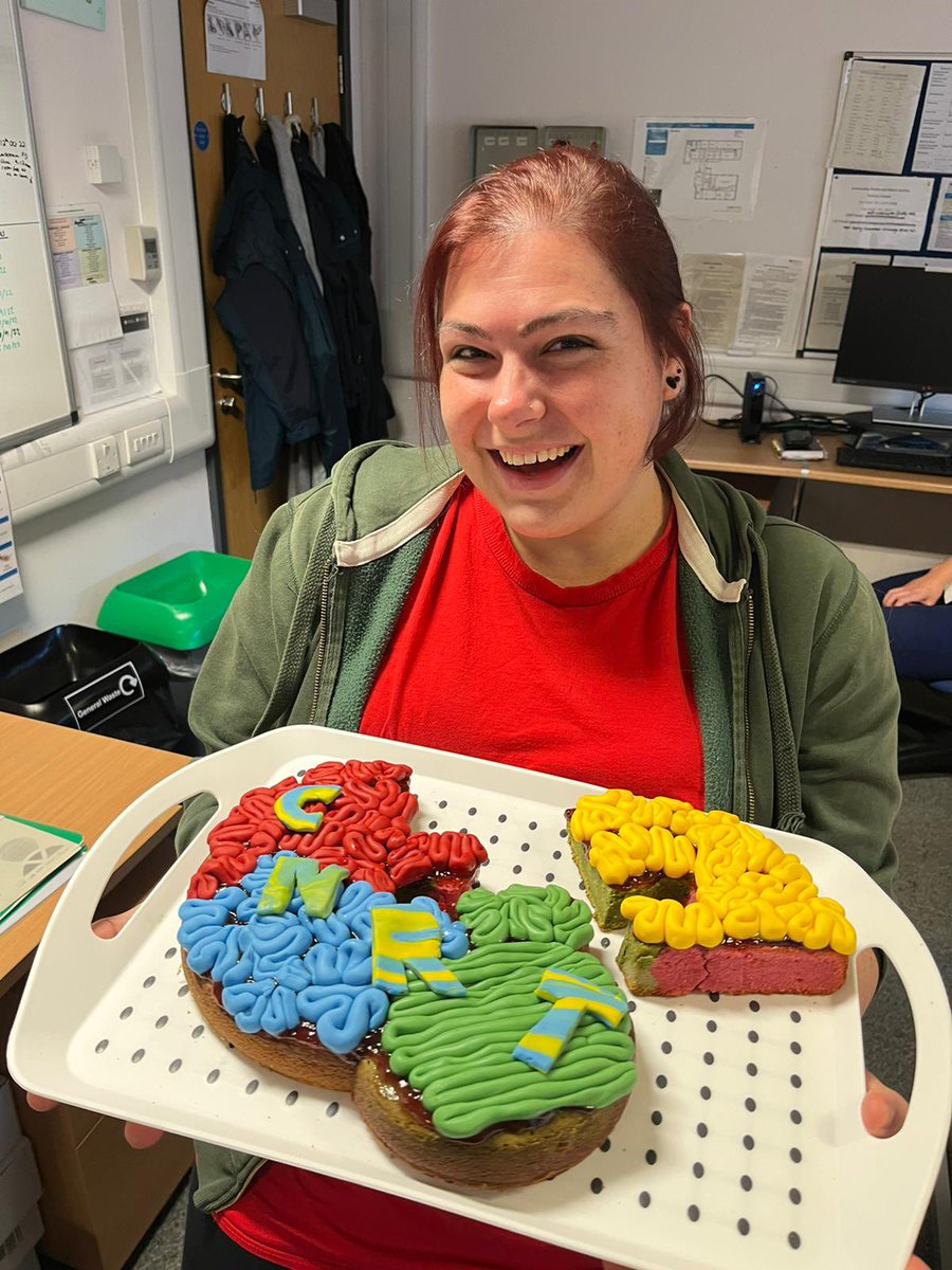 NMcrCSNS's tweet photo. Amazing CNRT entry for the #AHPsDay cake competition made by the brilliant @leilamon @TracyWa85424040 @caomha_preston @LCO_AHPs @LocalityNorth https://t.co/6Izg8ZD8tD