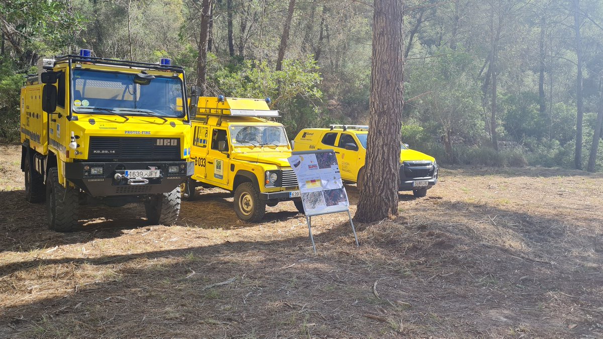 🔥La campanya d'alt risc d'incendis forestals finalitza amb 10,5 hectàrees cremades. És l'any de tota la sèrie històrica amb menor superfície afectada

👤<a href="/mirgual/">Miquel Mir Gual</a>: "Les dades són molt bona notícia, però no ens poden fer baixar la guàrdia"

ℹ️Tota la info: tn.caib.es/FinalCampanyaI…