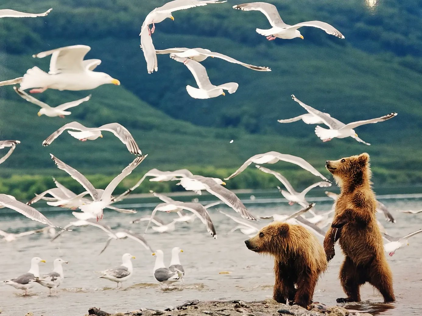 Геннадий Юсин фотограф