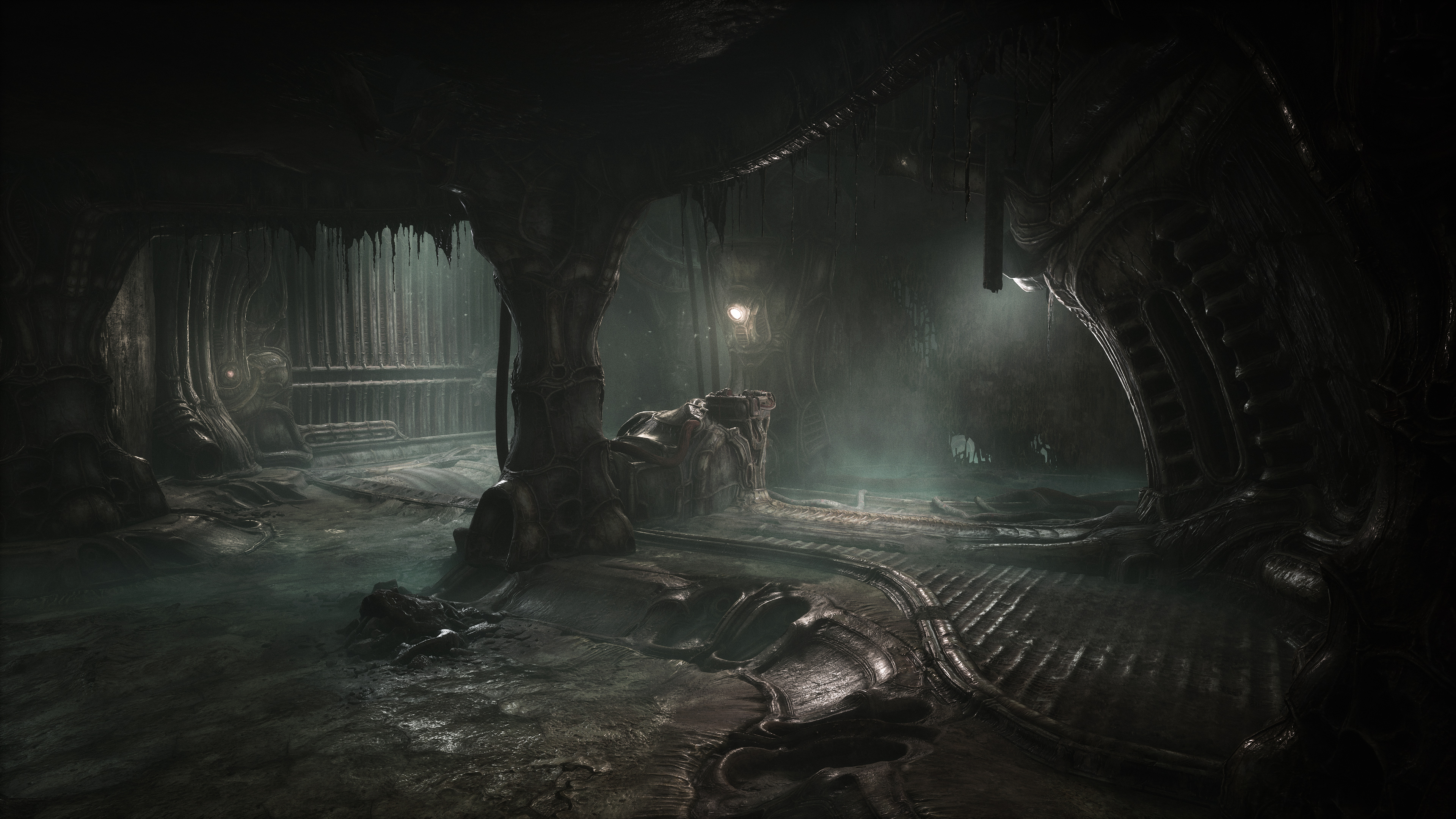 FfBzrI-WIAAWc5B?format=jpg&name=4096x409