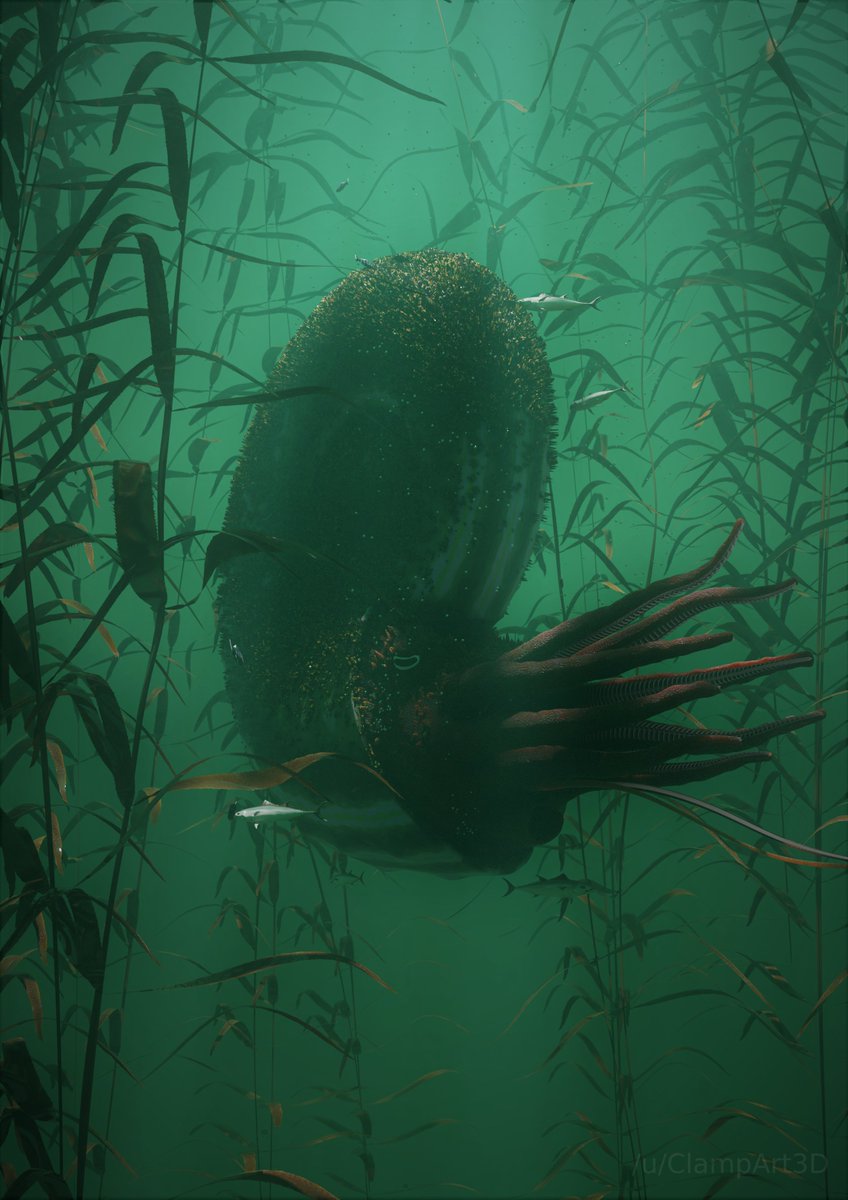 Ancient Kraken - Weighing over a tonne with a shell up to 3.5m in diameter, Parapuzosia seppenradensis is the largest invertebrate to have ever lived. Had great fun modelling this in blender! #paleoart #ammonites #paleontology #digitalart