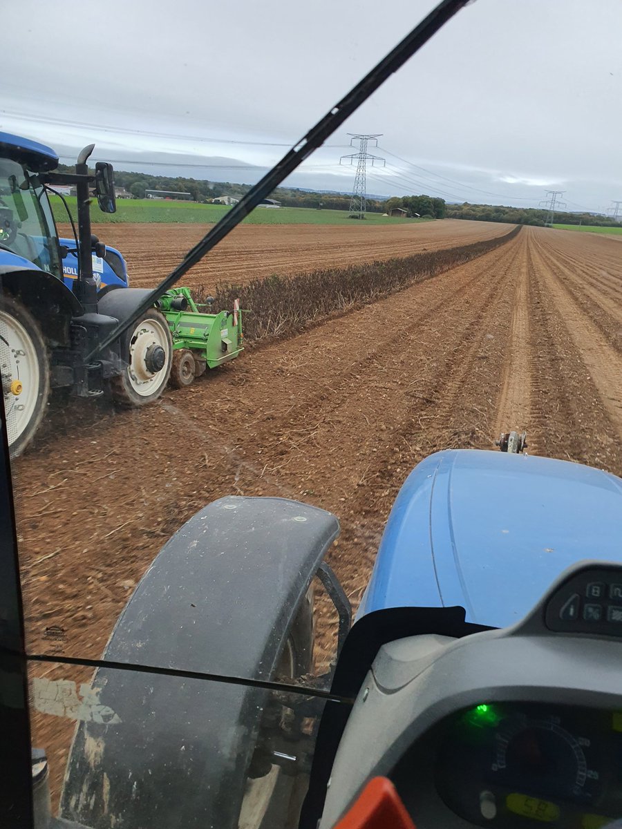OlivierTHIBAUT5's tweet photo. Entre le boulot des #vaches
Entre 2 #averses
Fin des arrachages de #dudule
On a la patate mais celle là n'est pas pour manger... non c'est pour son #amidon:
#papier #CARTON
produit pharmaceutique
aliments du bétail...
Et plein d'autres utilisations
#PommeDeTerre #fécule https://t.co/qB0pGBvaOw
