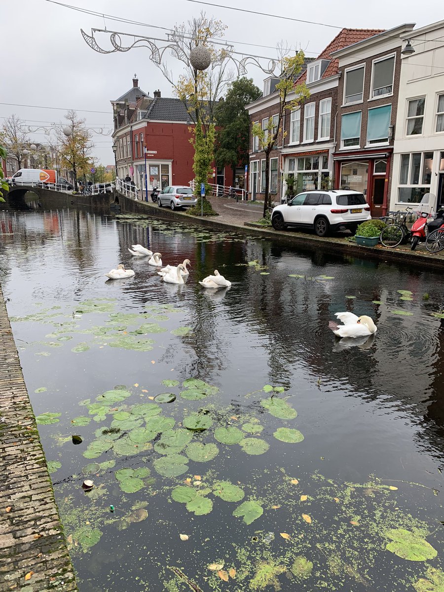 Zwanendans #vrouwjuttenland #Delft