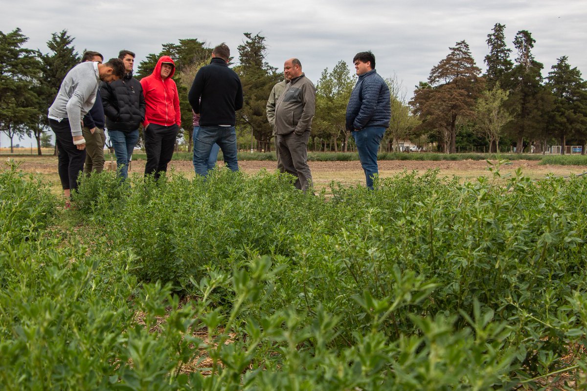 #Hoy | Gira a campo en #INTAManfredi 🐄🐑☘️

Alumnos de la Carrera de Administración Agropecuaria de <a href="/IES21/">Colegio Universitario IES</a> visitaron la Experimental

¿Qué recorrieron?
✅ #Tambo de la Asociación Cooperadora
✅ Módulo #ovino de investigación y extensión
✅ Ensayos a campo del cultivo de #Alfalfa
