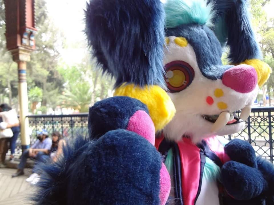 UzzyVonLion's tweet photo. Ah viernes de frases mamalonas y empoderadas
Viernes de #FursuitFriday
"Si vas a pecar en #confuror recuerda que Sin gorrito 🛑NO hay fiesta!" Cuídense mucho y siganme para más consejos! allá nos vemos
#happyfursuitfriday #furryclown #FURRY #cutefursuit #clown #payasos #furryrt https://t.co/5fMOEeMETN
