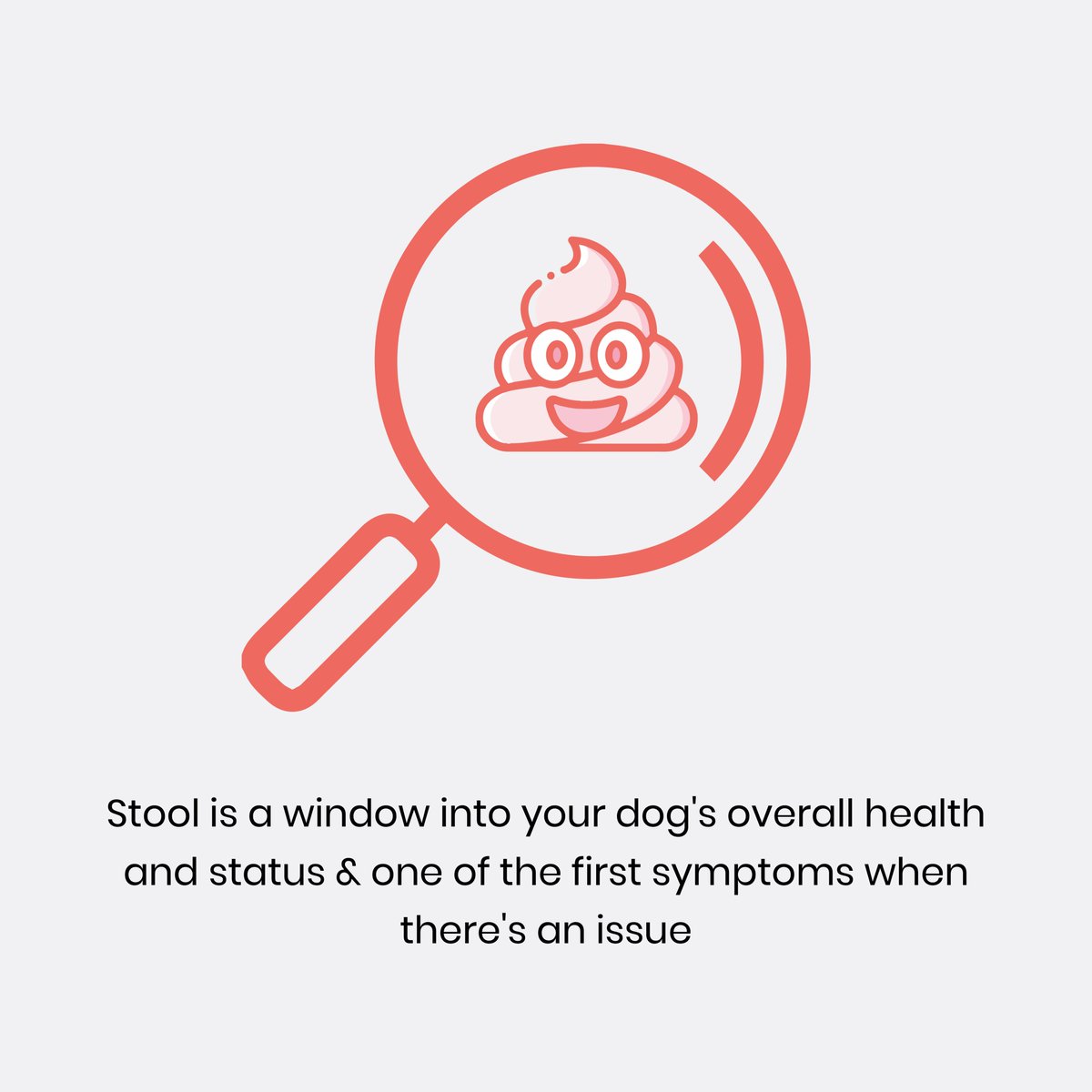 dig_labs's tweet photo. Why poop? We get this question all the time. Poop is a daily window into your dog's overall health and wellbeing. What goes in is just as important as what comes out! To read more about why DIG Labs started with poop, click here: https://t.co/XSqyxCUZfm https://t.co/vdD2SM5xHg