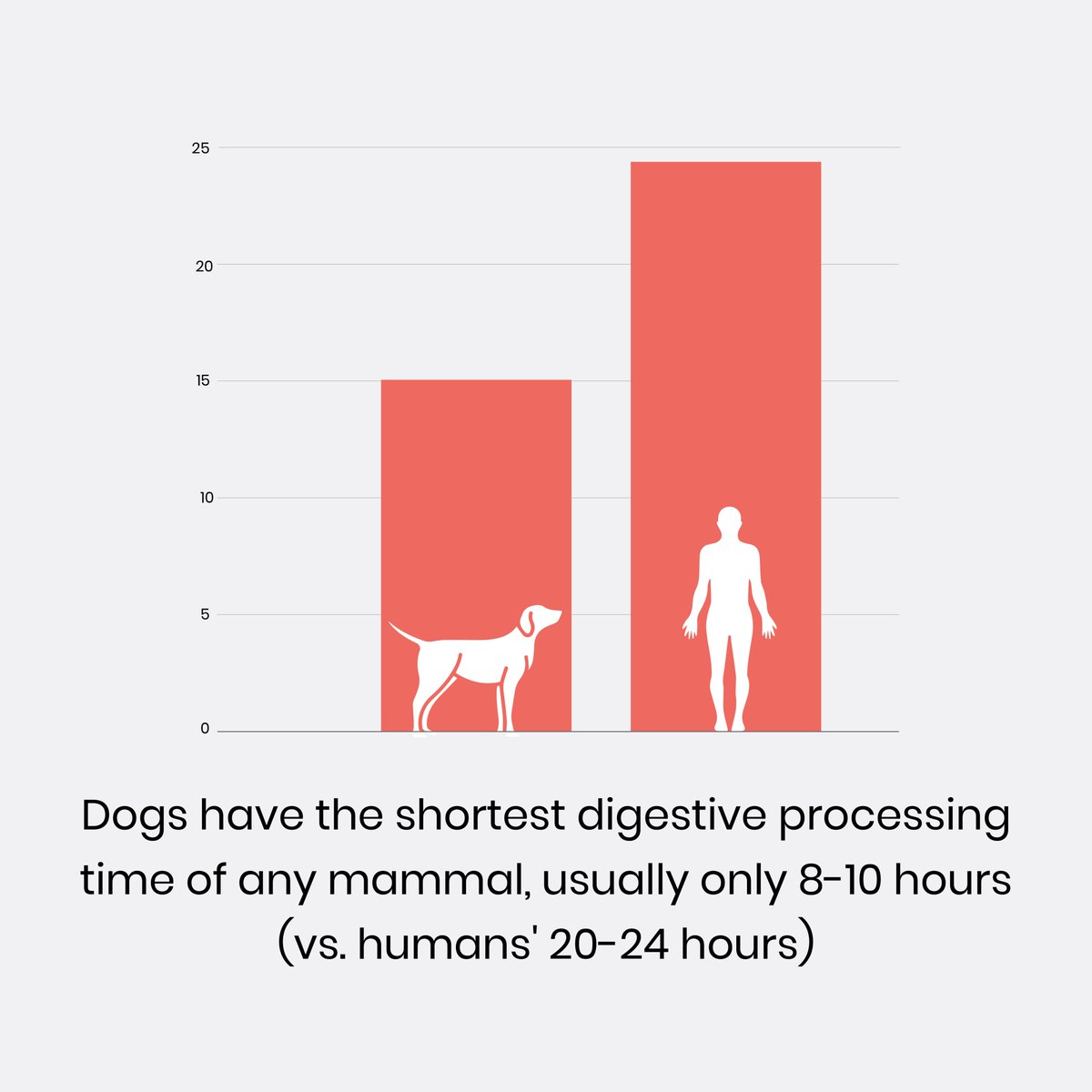 dig_labs's tweet photo. Why poop? We get this question all the time. Poop is a daily window into your dog's overall health and wellbeing. What goes in is just as important as what comes out! To read more about why DIG Labs started with poop, click here: https://t.co/XSqyxCUZfm https://t.co/vdD2SM5xHg