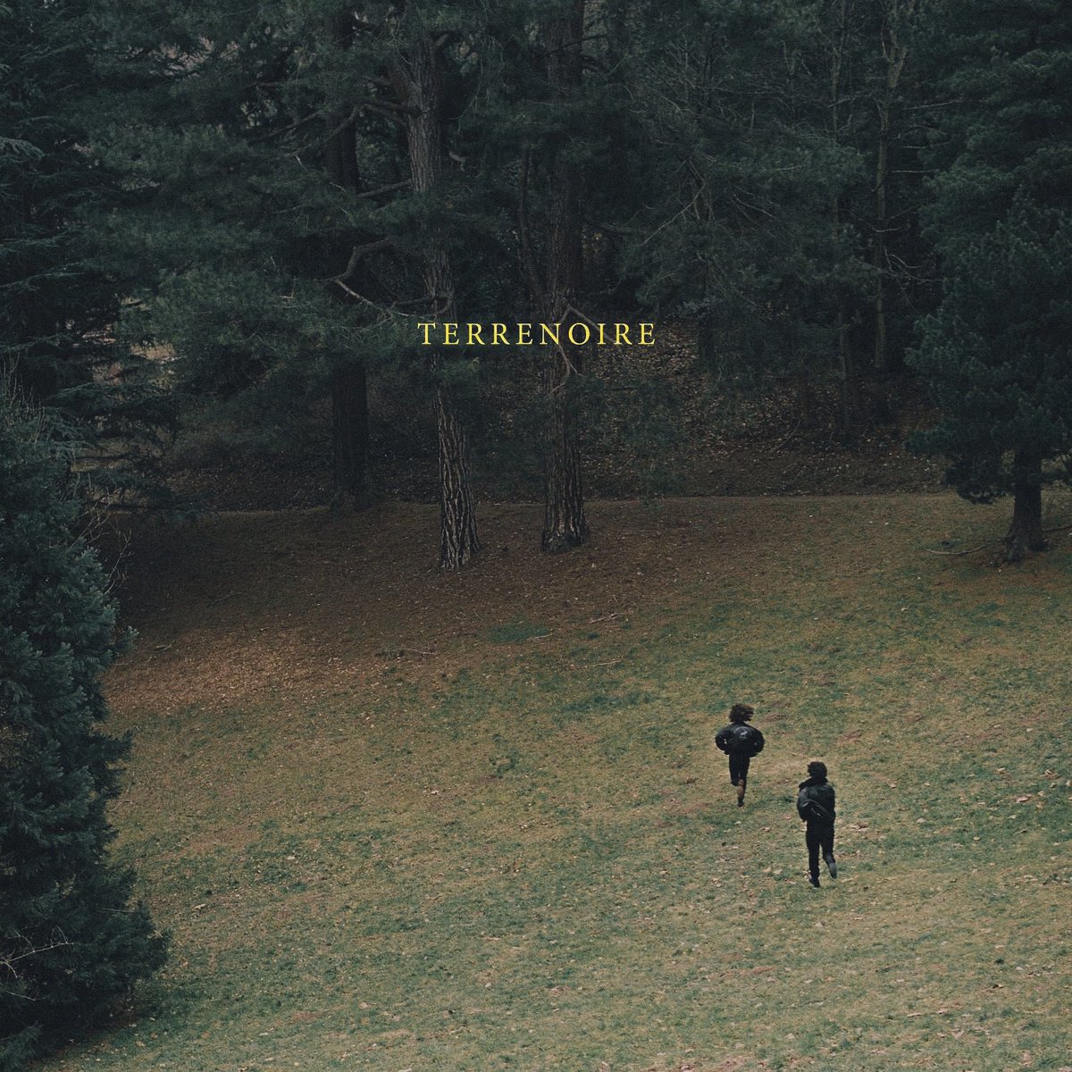 C’est aujourd’hui, le vinyle de notre EP « TERRENOIRE » a été pressé à nouveau à la demande générale. C’est là : bio.to/Terrenoire