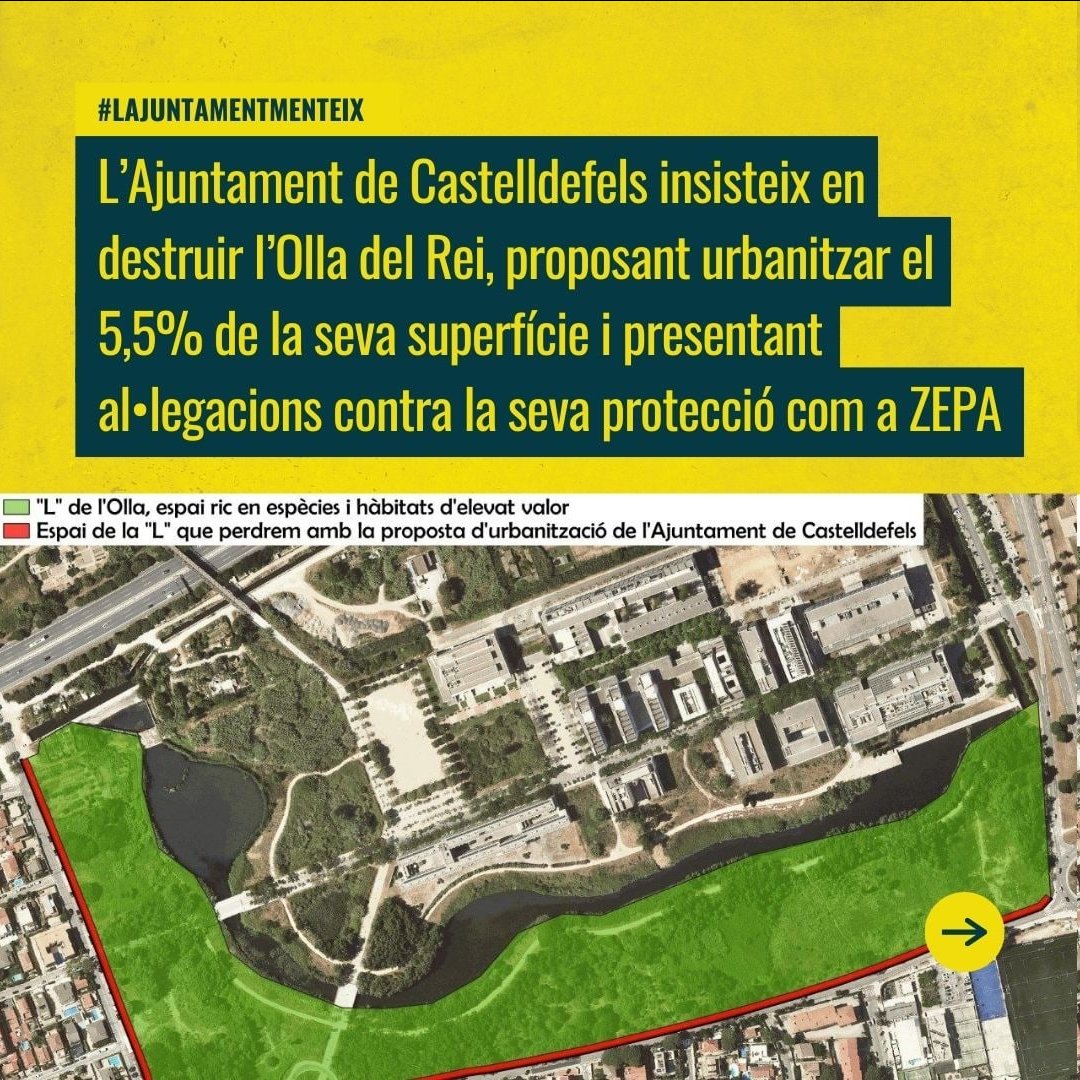 OlladelRei's tweet photo. @AjCastelldefels https://t.co/mYvMPKfPN6