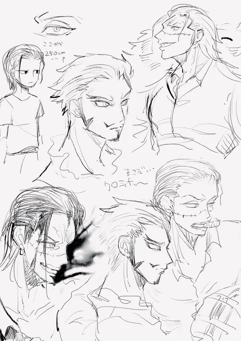 もうゲームしながら落書きするしかない、鰐さんの砂になって体に穴が開いたり欠損したりするの良い… 