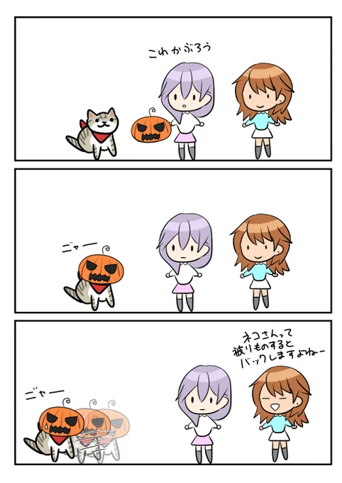 レアさん(バック) 