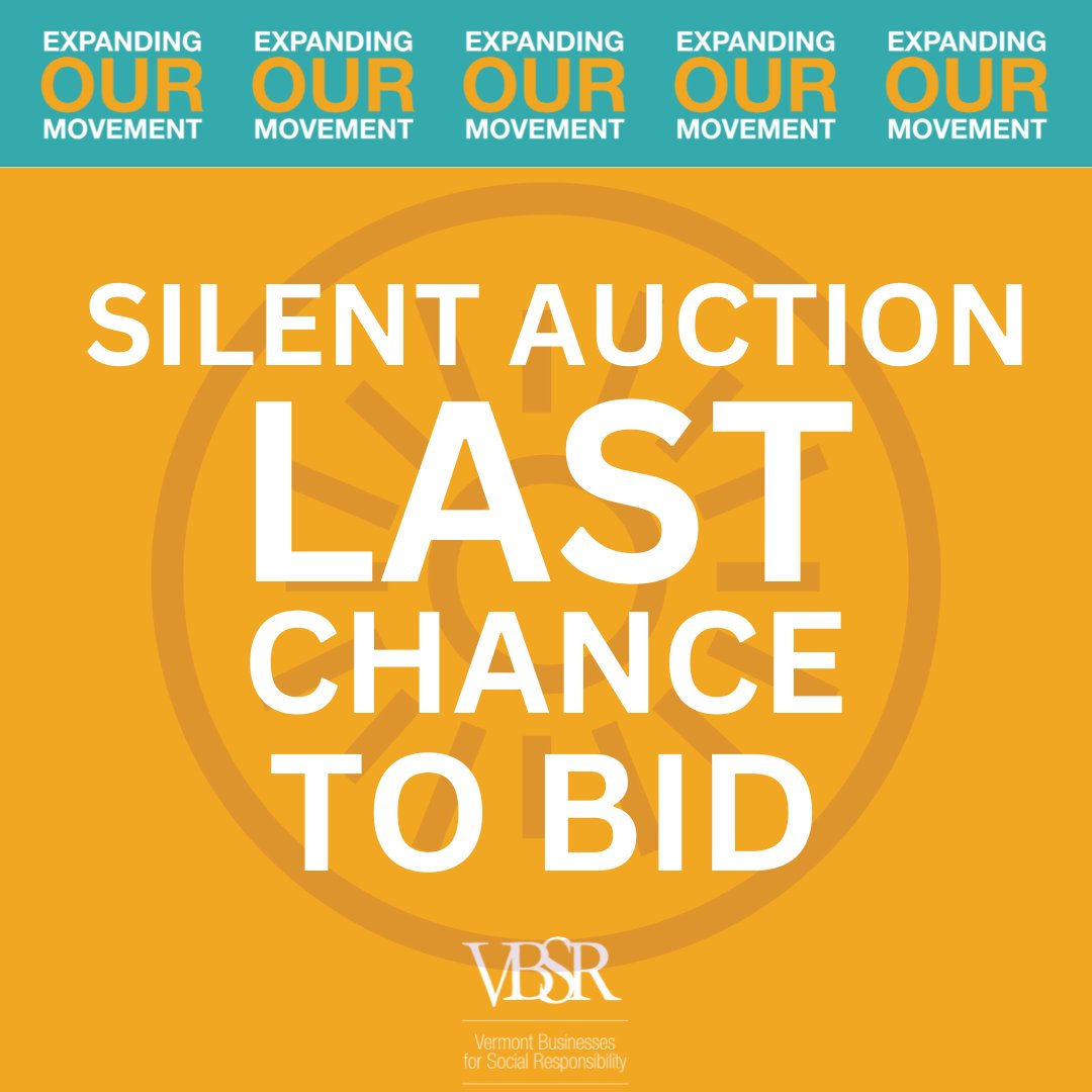Done with your holiday shopping already? We didn't think so. So make your move at VBSR's Expanding Our Movement Silent Auction before it closes today at 5:00 PM EST. This is your LAST CHANCE TO BID on one-of-a-kind items as we try to reach our goal. bit.ly/3DEKOCV