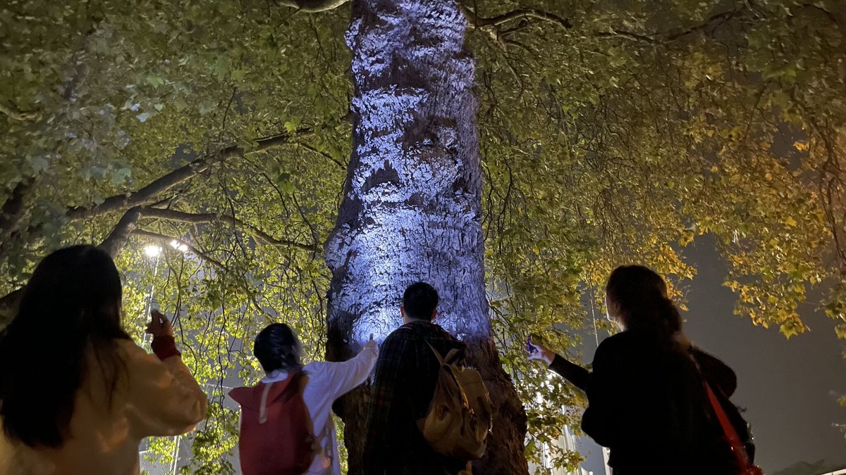 _mazzetti_'s tweet photo. 1st #LightWalk in the books! Thanks to the #Architectural students at the @UWBuiltEnv for joining.
For those in the SF Bay Area, we'll be touring Berkeley next Thursday. Register for free and more info here: https://t.co/8kzp3z7S9K
#Lightwalk #lightequity #urbanlighting https://t.co/Nr1AILso0O