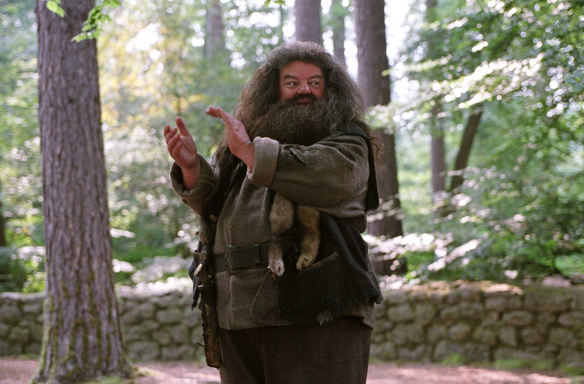 Robbie Coltrane, best known for playing fan-favourite character Rubeus Hagrid in the 'HARRY POTTER' franchise, has passed away at the age of 72.