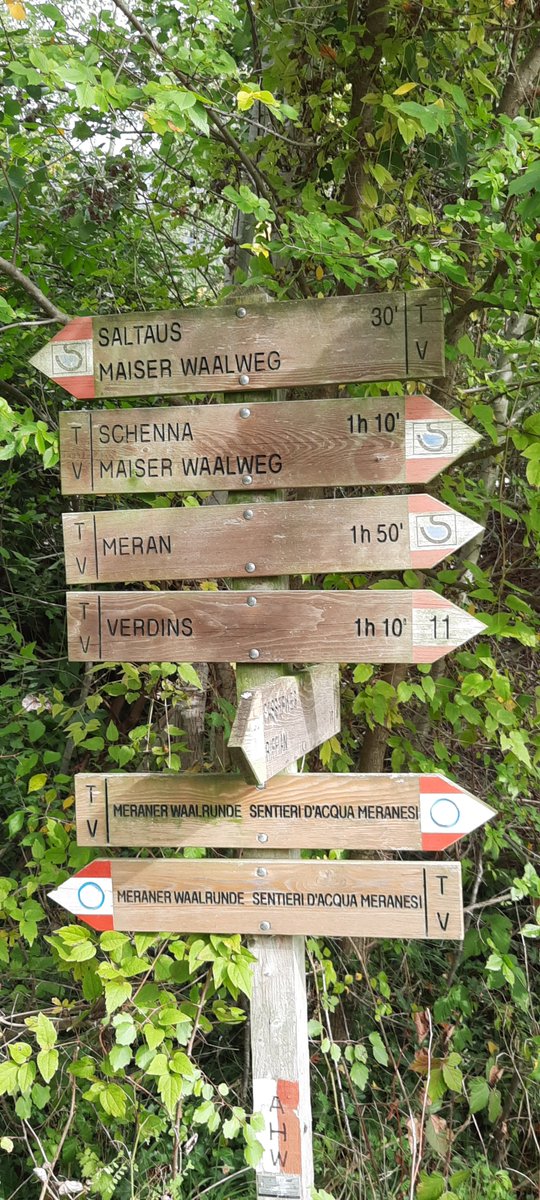 Heute auf dem Maiser Waalweg unterwegs gewesen. Ein paar schöne Aussichten genossen und den letzten Tag in Südtirol wunderbar ausklingen lassen. #Südtirol #Wandern #Wanderninsüdtirol #Berge #Urlaub #Reisen #Reiseblog #Reisenmitkindern #Familienreisen