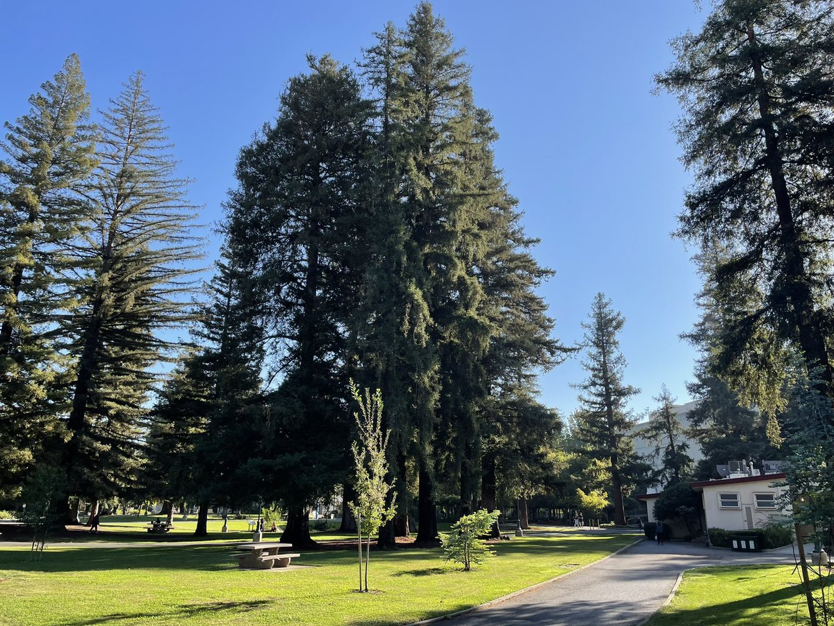 UKCOP_JME's tweet photo. The #UKCOProadtrip rolled into CA late last night! Advisors meeting this morning on the beautiful campus @sacstate. Excited to represent @UK_COP and show why weโre a national leader in #pharmacy education! #ukcopeffect https://t.co/kxKpMMWety