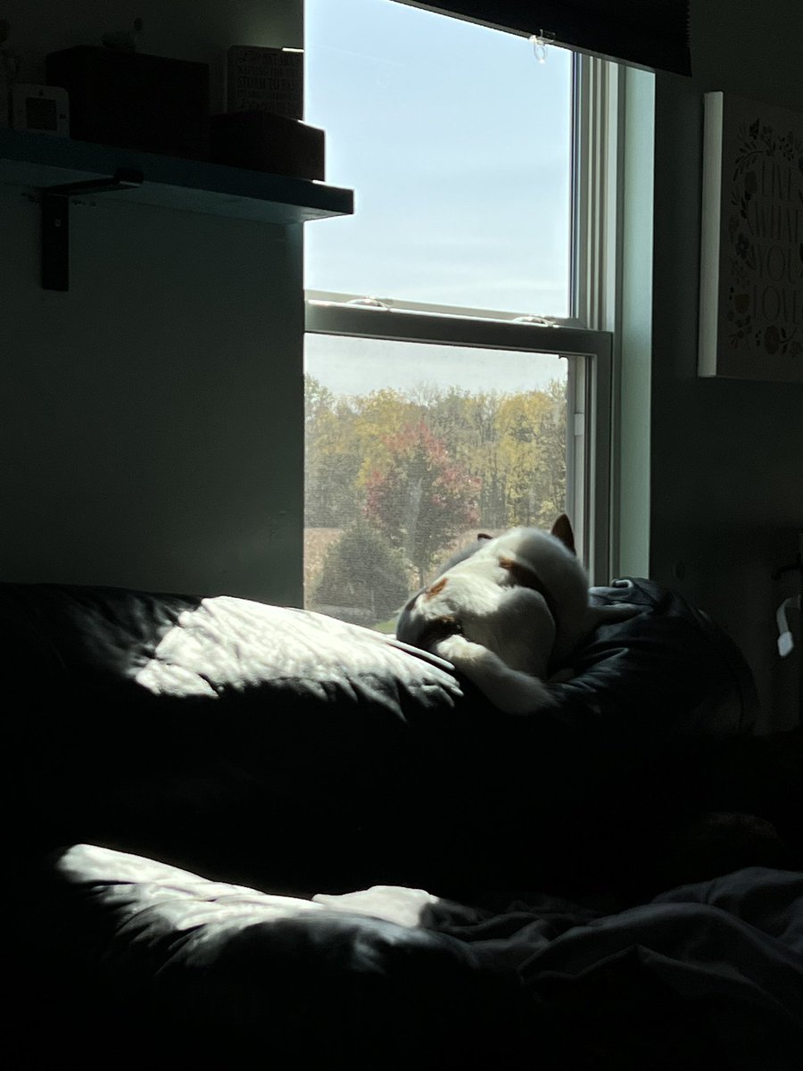 Rebecca Crull tweet media