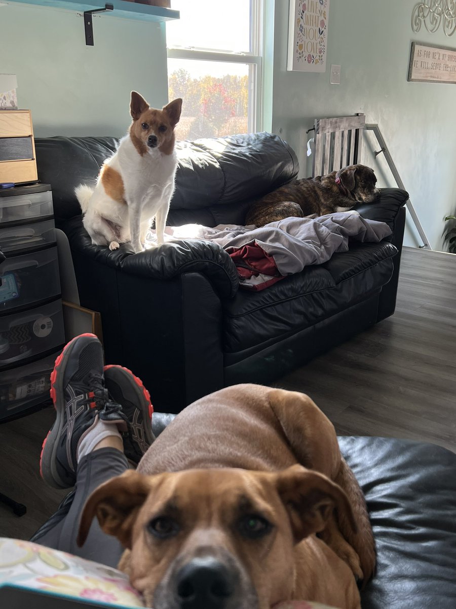 Rebecca Crull tweet media