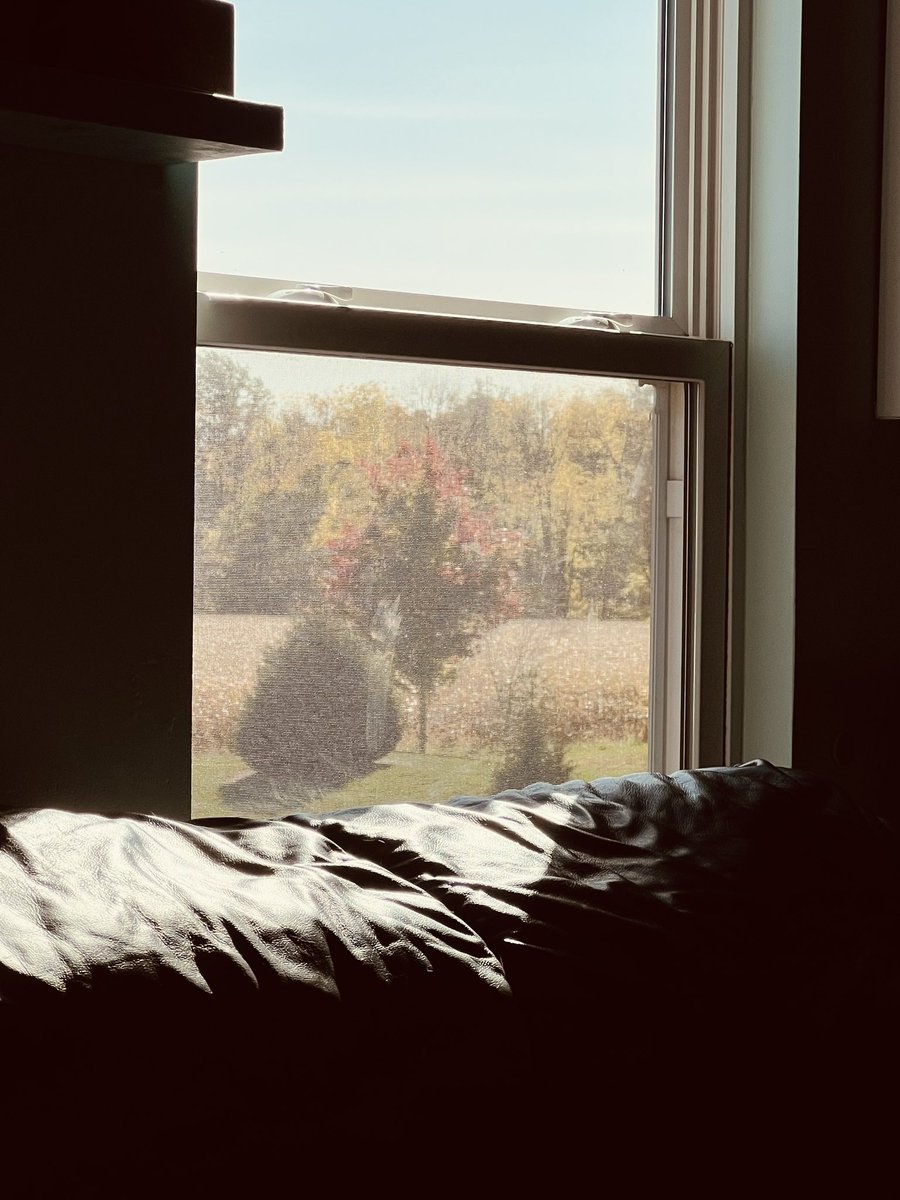 Rebecca Crull tweet media