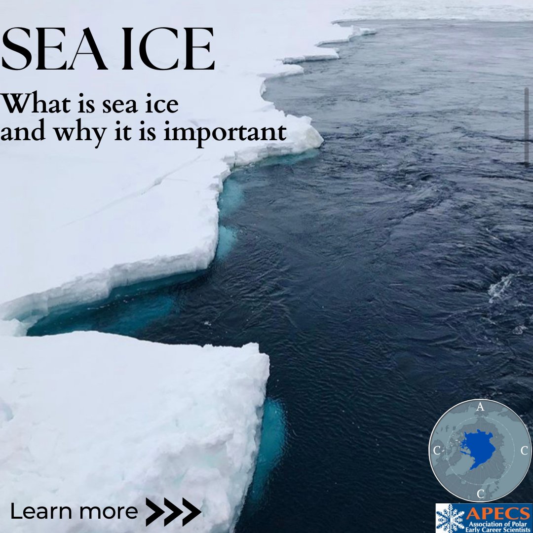 Polar_Research's tweet photo. Climate change impacts the Arctic, what does it mean for Sea-Ice? ❄️

#FridayForPolarFuture #scicomm #cryosphere #polar #arctic #climatechange #earlycareer #ipcc #polarResearch #ArcticResearch https://t.co/rAZpYWF3zT