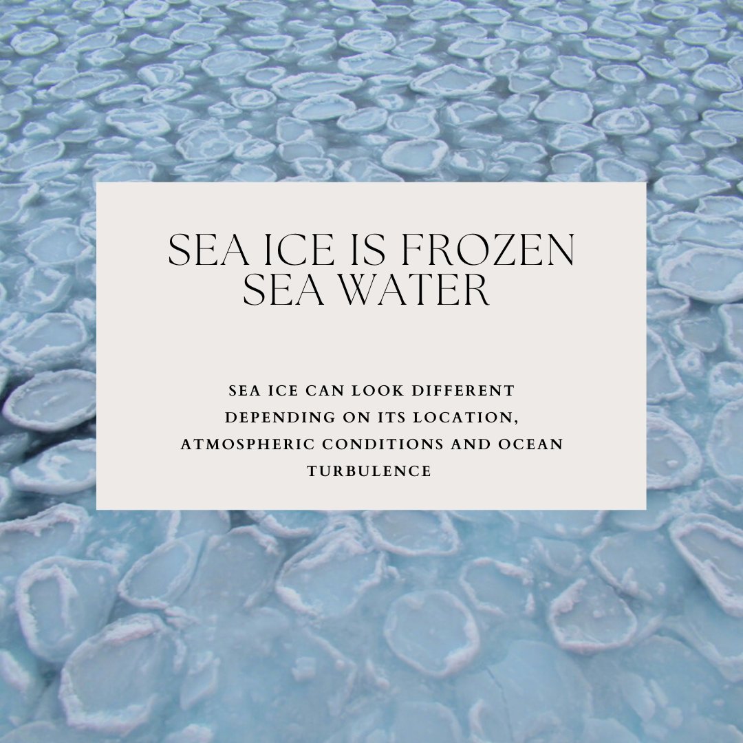 Polar_Research's tweet photo. Climate change impacts the Arctic, what does it mean for Sea-Ice? ❄️

#FridayForPolarFuture #scicomm #cryosphere #polar #arctic #climatechange #earlycareer #ipcc #polarResearch #ArcticResearch https://t.co/rAZpYWF3zT