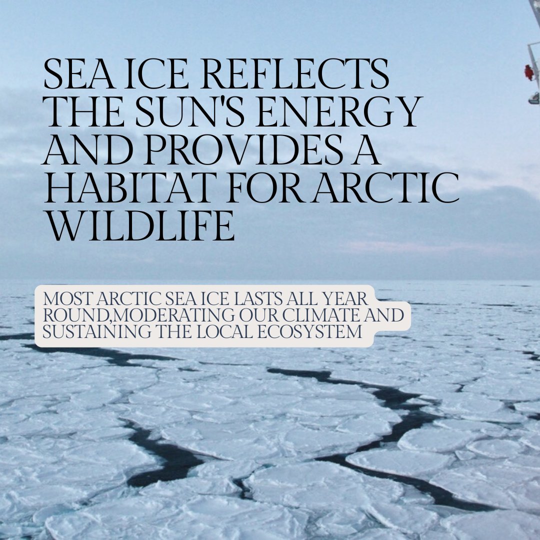 Polar_Research's tweet photo. Climate change impacts the Arctic, what does it mean for Sea-Ice? ❄️

#FridayForPolarFuture #scicomm #cryosphere #polar #arctic #climatechange #earlycareer #ipcc #polarResearch #ArcticResearch https://t.co/rAZpYWF3zT