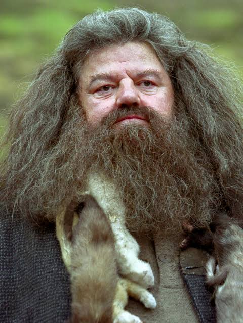 Hagrid has passed on 🕯️🕊️