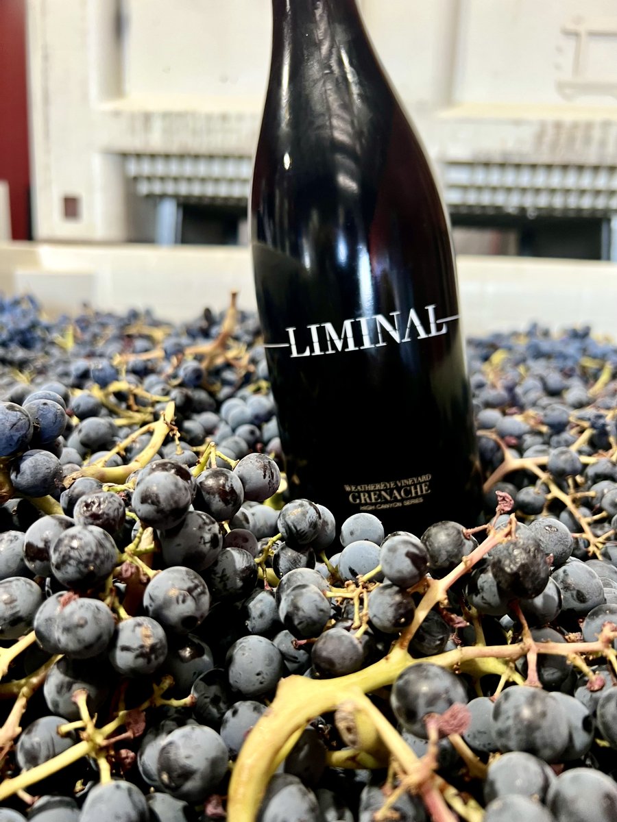 liminalwines's tweet photo. WeatherEye Grenache just in! https://t.co/ZDRSjxtXM9