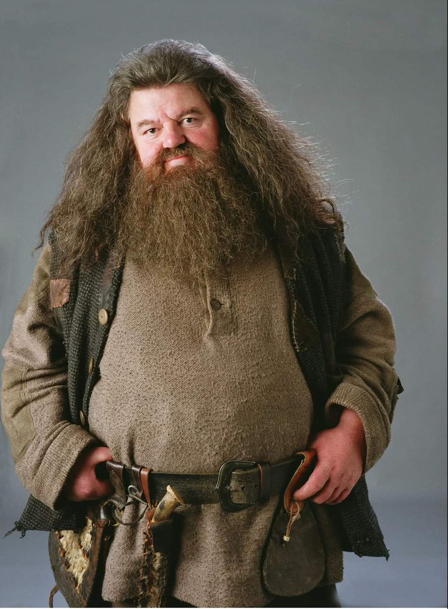 Rest in peace Robbie Coltrane 🙏