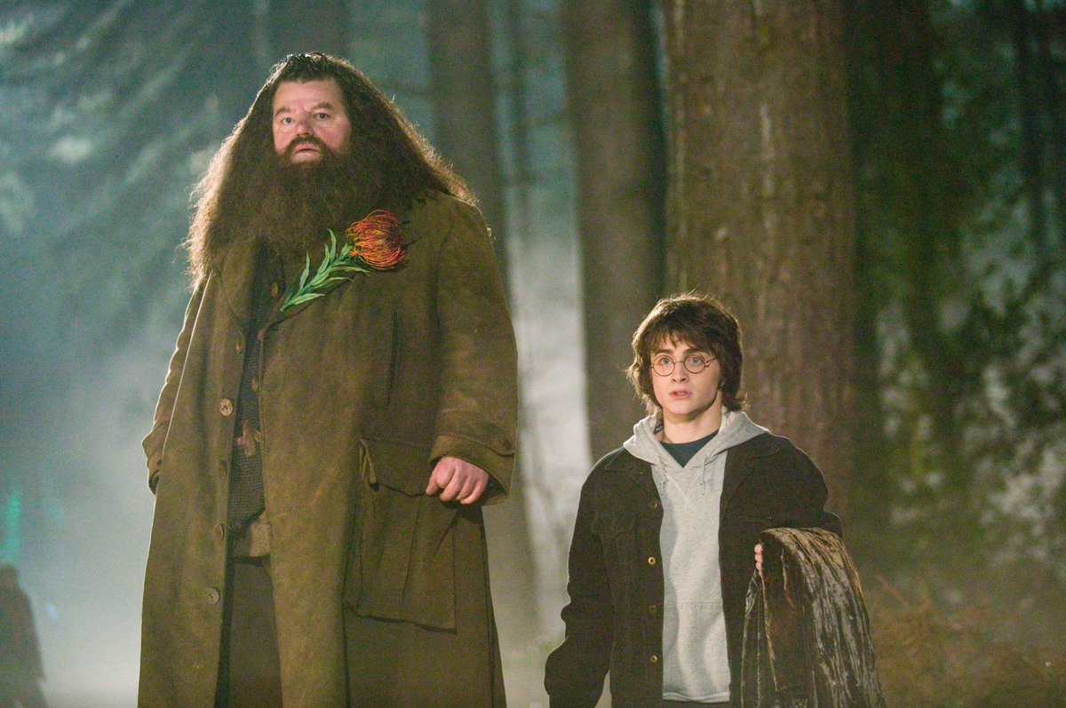 DEADLINE's tweet photo. Coltrane, the larger than life comic star, memorably played Hogwarts gamekeeper Rubeus Hagrid in the #HarryPotter series. He enjoyed huge popularity off the back of the role as half giant-half wizard https://t.co/B0ItnPYdcL https://t.co/eU5NQlwZpv