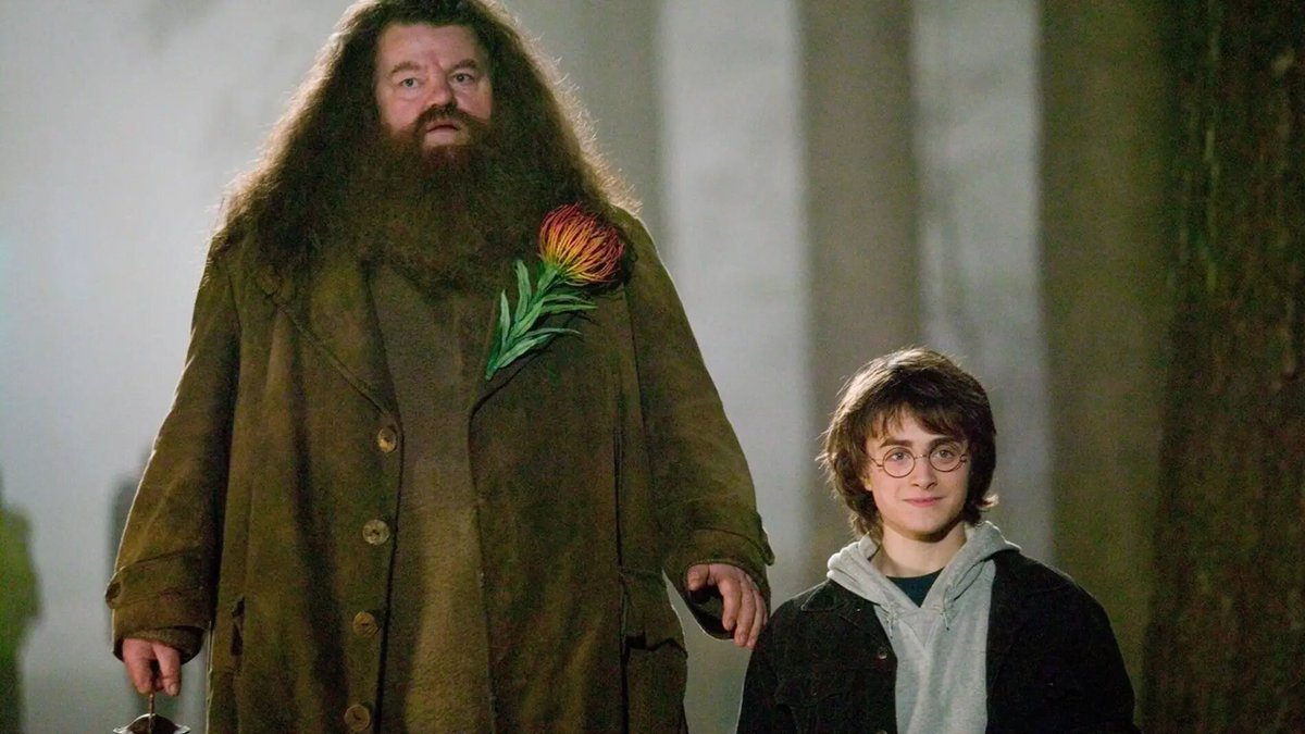 What's comin' will come, an' we'll meet it when it does.

Hagrid 💔