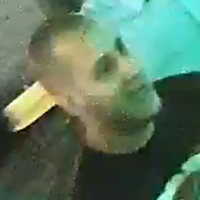 Vancouver Police tweet media