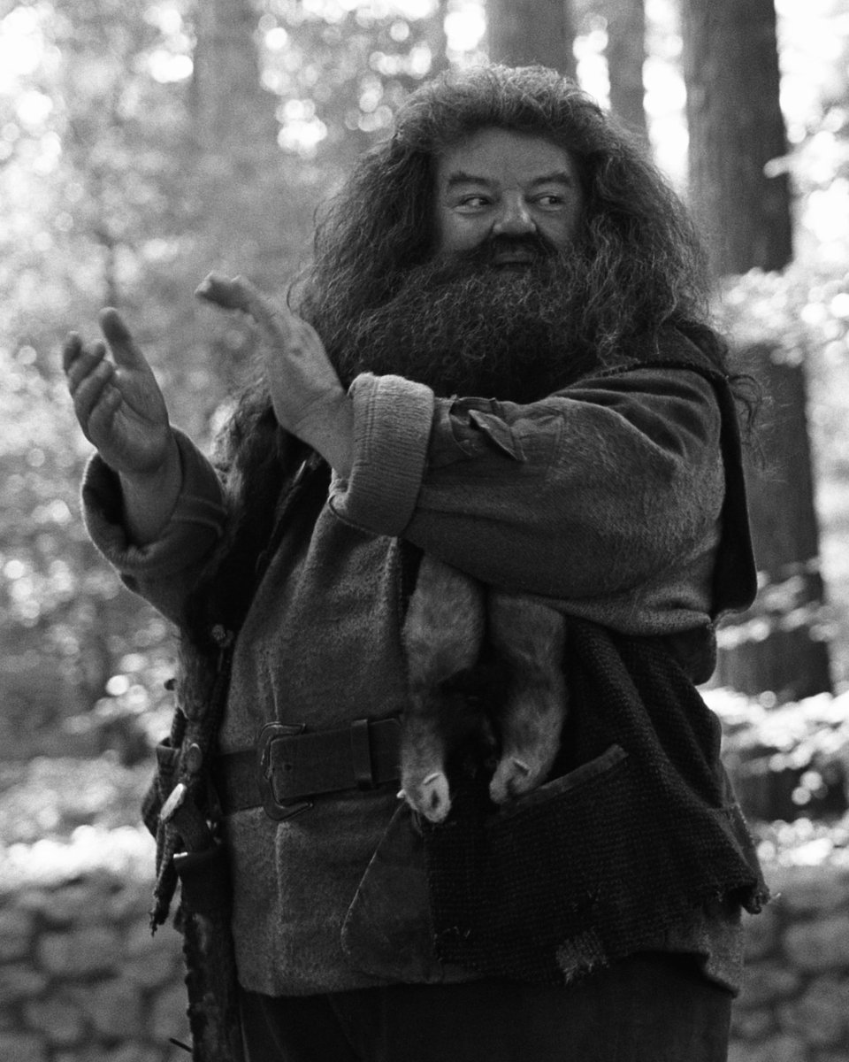 RIP Robbie Coltrane 🕊

“What’s comin’ will come, an’ we’ll meet when it does.” - Hagrid