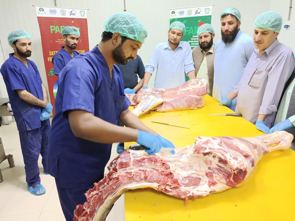 UNIDO_Pakistan's tweet photo. A four-day training for master trainers covering food safety, hygiene & industrial meat processing for #MeatValueChain #KP was organized by @UNIDO 🇵🇰 under #PAFAID w/ @jica_direct_en funding @NadiaaftabS @UNinPak #WorldFoodDay 🍲🇵🇰 https://t.co/7mntRotODi https://t.co/x9BgkPqPUu