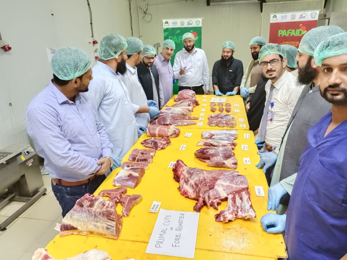 UNIDO_Pakistan's tweet photo. A four-day training for master trainers covering food safety, hygiene & industrial meat processing for #MeatValueChain #KP was organized by @UNIDO 🇵🇰 under #PAFAID w/ @jica_direct_en funding @NadiaaftabS @UNinPak #WorldFoodDay 🍲🇵🇰 https://t.co/7mntRotODi https://t.co/x9BgkPqPUu