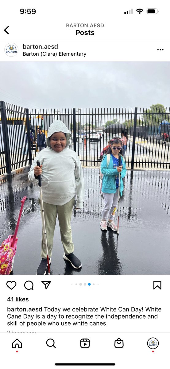 BartonBees tweet media