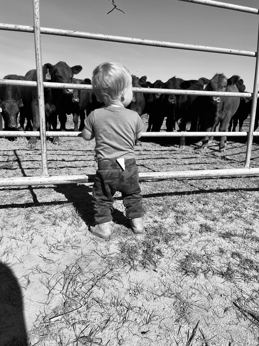 15Jennad's tweet photo. Just Ranchin’ https://t.co/ew27DqfV15