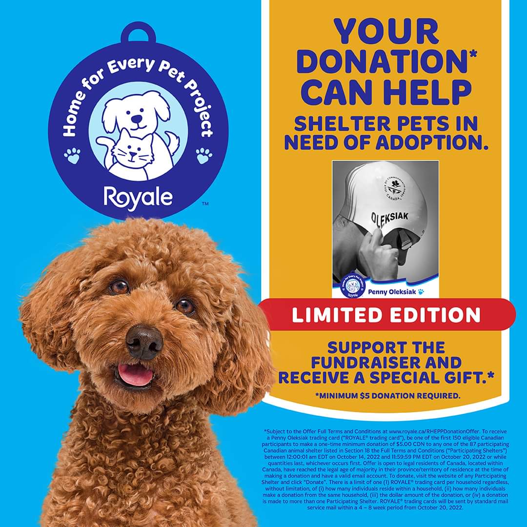 Help NDR raise money for our dogs as we participate in the Royale -Home for every Pet Project.  We will be competing with other rescues for prizes and funds.  Help us be the best!!

donate at- niagaradogrescue.com/donate.php or at Canada Helps