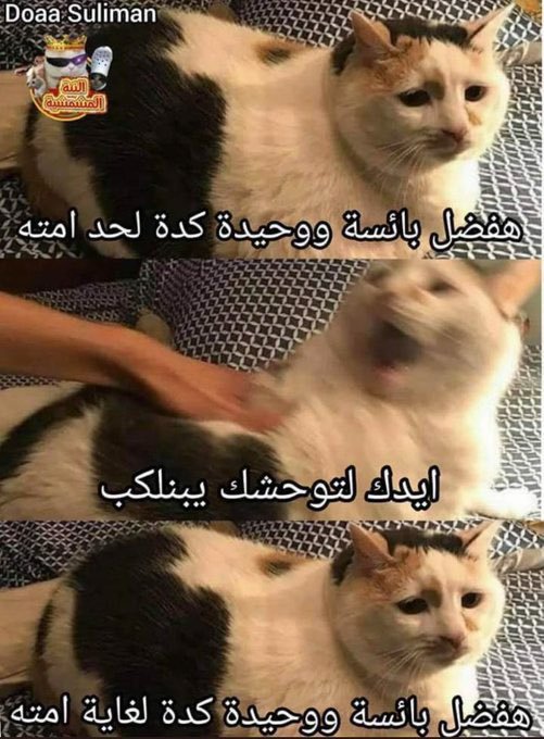 ‏عمر | كود نايس ون AH88 (@world_erorr) on Twitter photo 