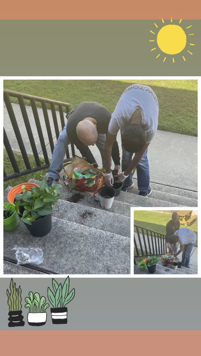 LHSCareerSkills's tweet photo. Be sure to stop by the LHS library and check out all the plants our student repotted! 🪴@Mrs_Cramer @Mrs_Sasse_LTPS @dadamltps @LTPS1 @CardinalsLHS #lhsworks https://t.co/RsXkekhtMX