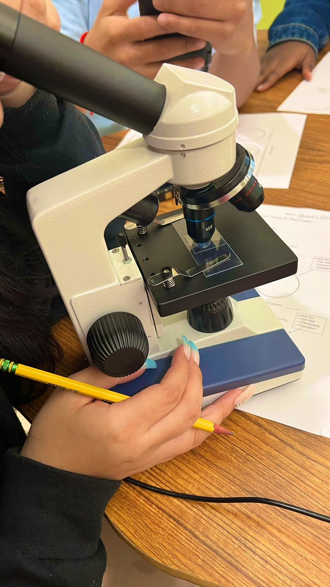 sakhipatel22's tweet photo. First microscope lab of the school year ✅ my 9th grade biology students had a blast creating elodea leaf &amp; onion skin slides to end our photosynthesis lesson! Take a look at the photos captured by my students from a compound microscope. #scied #stemeducation #scienceteachers https://t.co/Ir6CGVlnEh